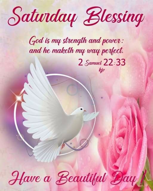 a pink rose with a white dove on it and the words, saturday blessing god is my strength and power and he makes my way to perfect