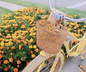 a yellow bicycle with a basket parked in front of some flowers on the side walk