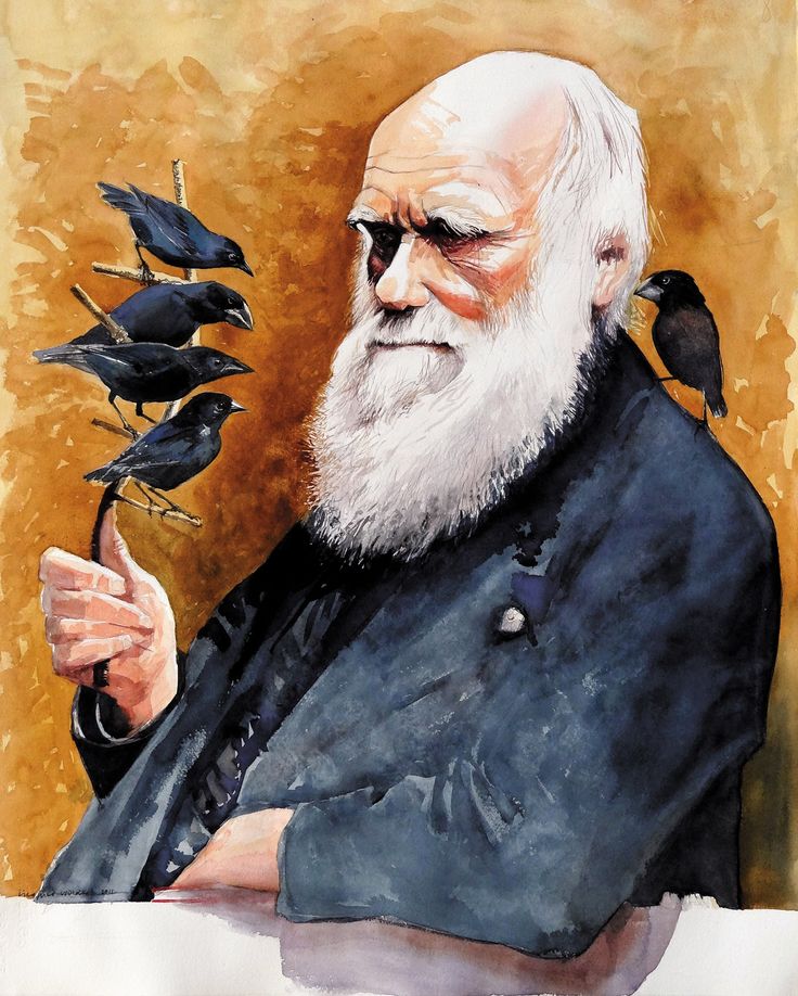 a painting of an old man with birds on his finger