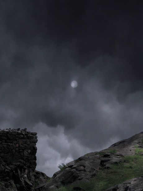 a sheep standing on top of a lush green hillside under a dark sky filled with clouds