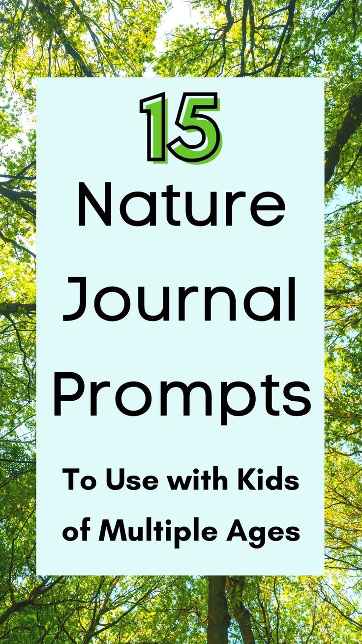 trees with the text 15 nature journal prompts to use with kids of multiple ages