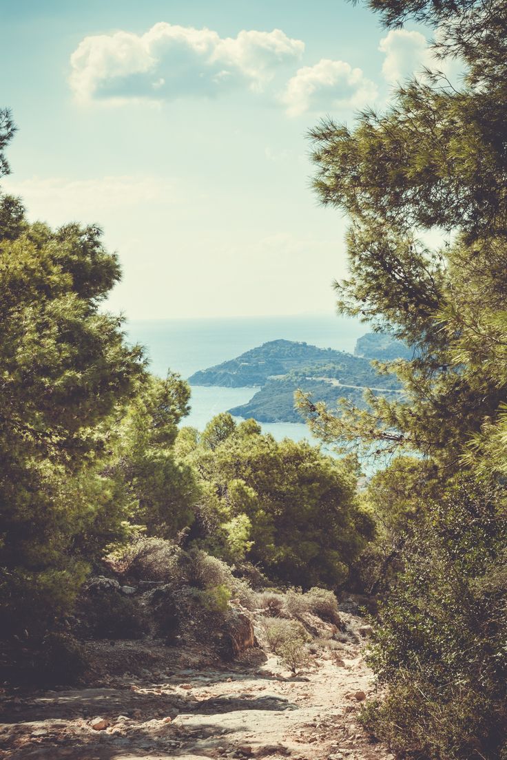 a path in the woods leading to an island