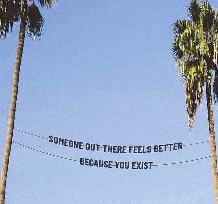 two palm trees and a sign that says someone out there feels better because you exit