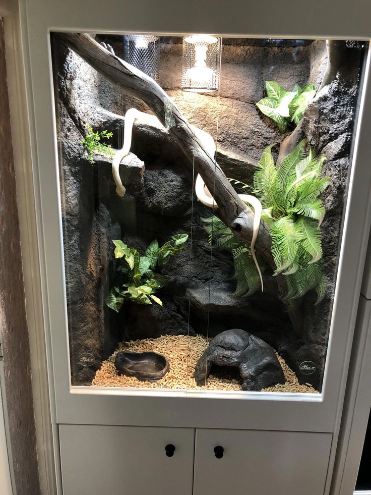 an aquarium with plants and rocks in the water, on top of a cabinet next to a wall