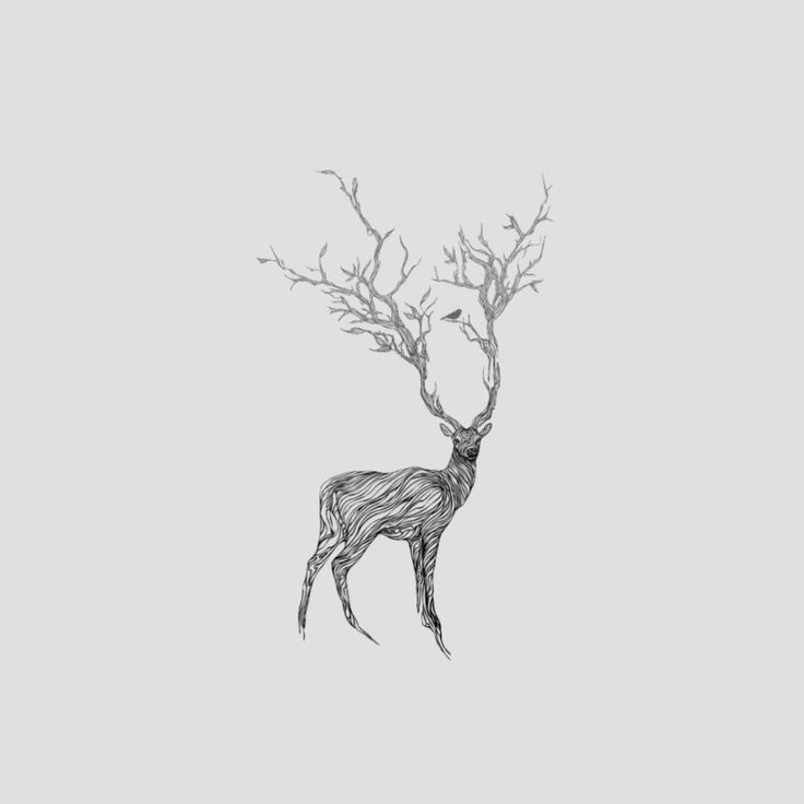 a black and white drawing of a deer with no leaves on it's head