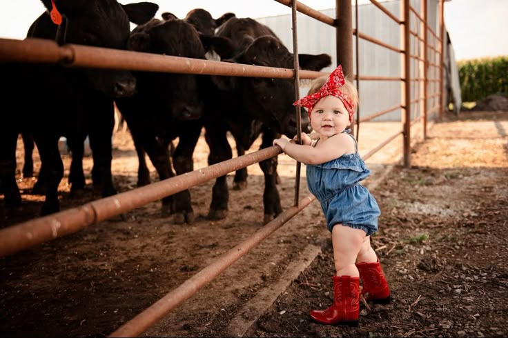 #farmfirstbirthday Barnyard First Birthday Photo Shoot, 1st Birthday Pictures With Calf, 6 Month Cowgirl Pictures, 1 Year Cowgirl Pictures, One Year Old Cowgirl Photoshoot, Farm Theme 1st Birthday Photoshoot, One Year Farm Photoshoot, Cow 1st Birthday Photoshoot, First Birthday Cow Photoshoot