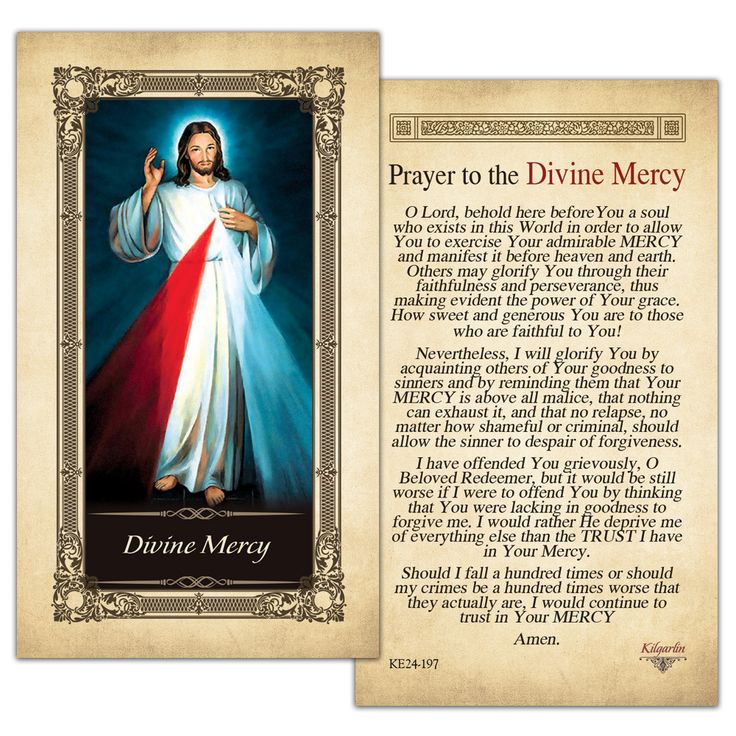 the chaple of the divine mercy prayer card with an image of jesus on it