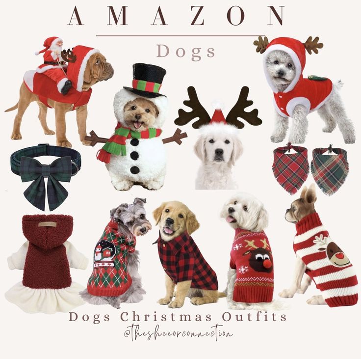 dogs dressed up in sweaters and hats for christmas