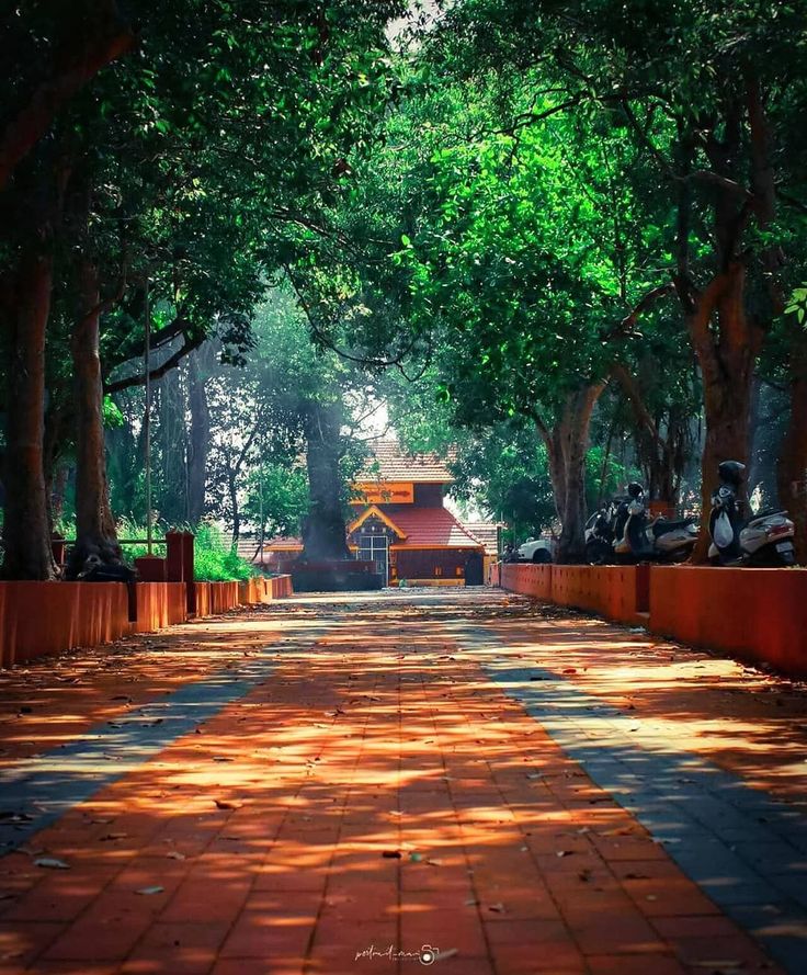 the sun is shining through the trees and casting shadows on the ground in front of an orange building