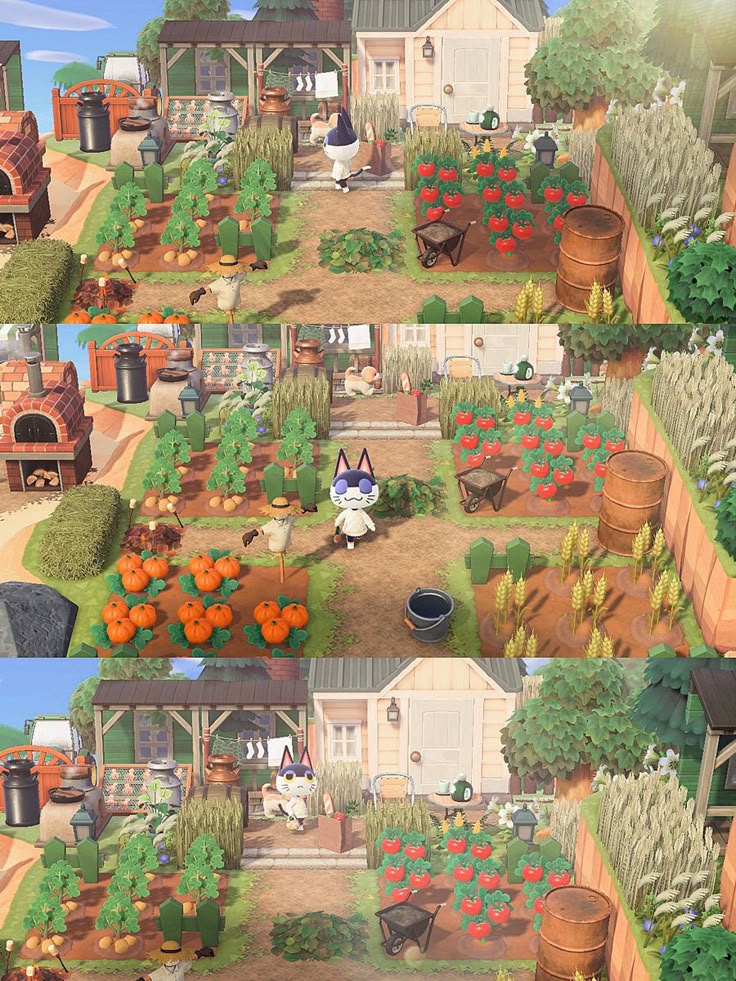 the garden is full of different types of flowers and plants, including carrots in pots