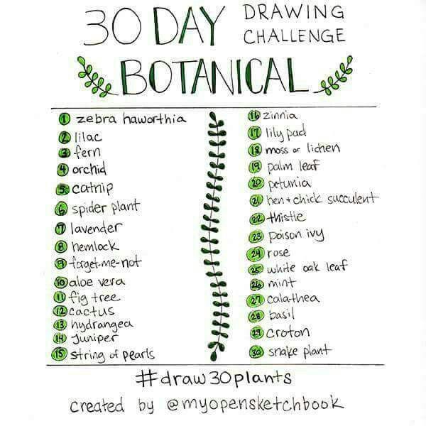 the 30 day drawing challenge is here to help you learn how to draw botanical plants