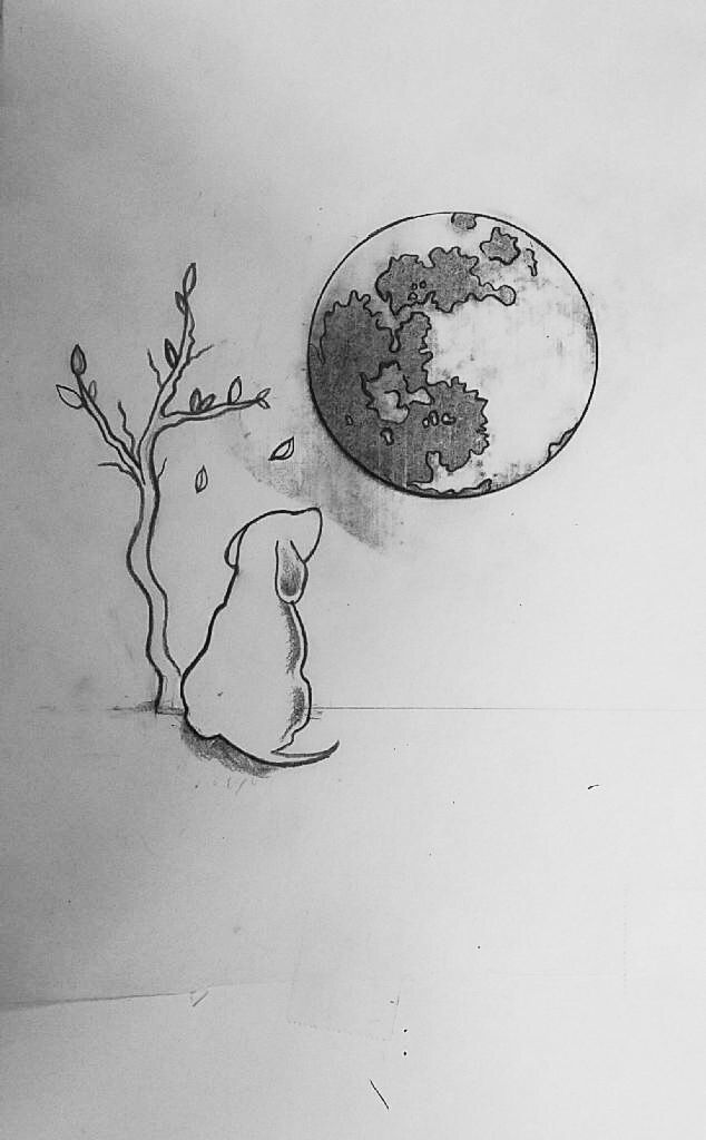 a drawing of a mouse looking at the moon