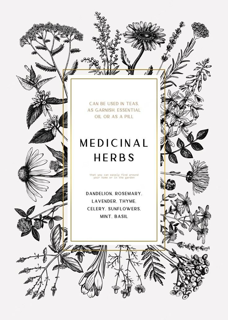 medical herbs frame with flowers and leaves