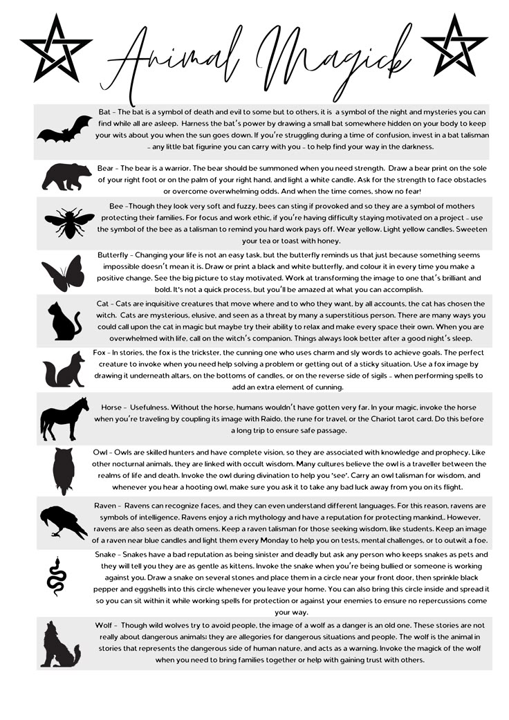 Animals In Witchcraft, Colours Witchcraft, Animals And Their Meanings, Pagan Protection, Witchcraft Grimoire, Witchcraft Symbols, Paganism Spells, Witch Tools, Magick Symbols