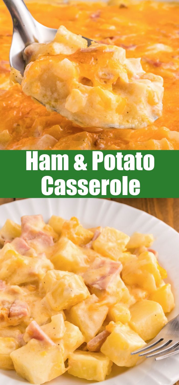 ham and potato casserole on a white plate