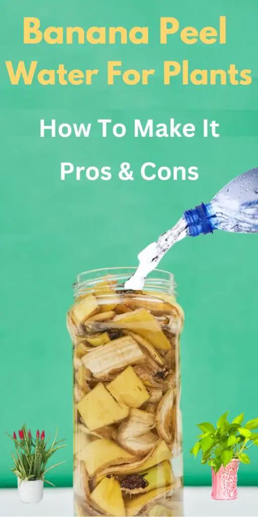 banana peel water for plants how to make it pros and cons