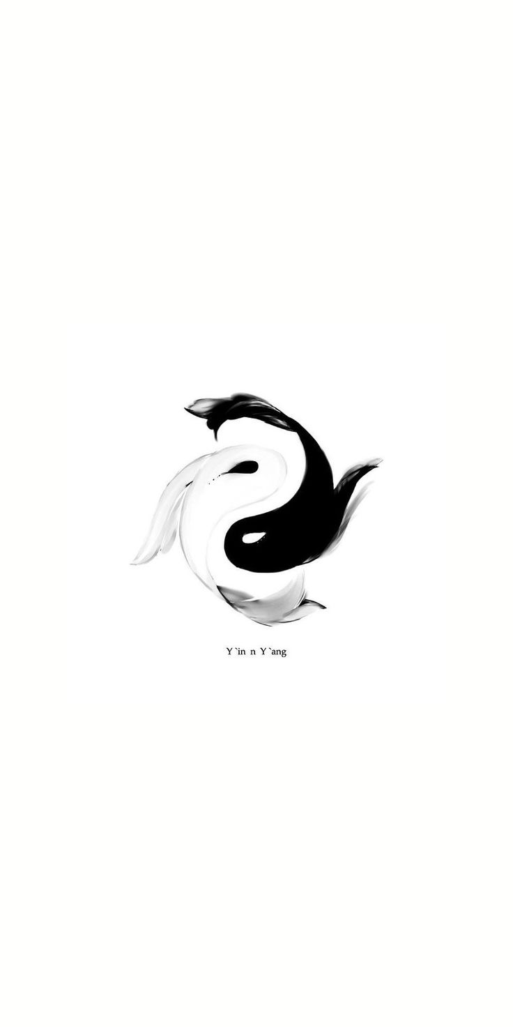 the letter s is made up of two black and white birds with their tails spread out