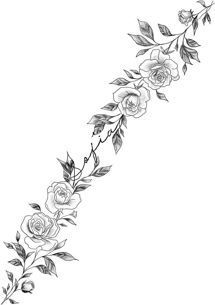 a black and white line drawing of roses on a vine with leaves in the middle