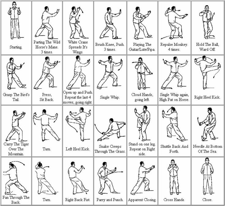 an exercise chart with instructions to do the martial moves for beginners and advanced students