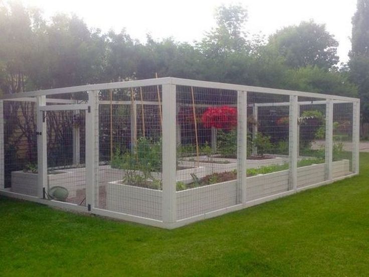 an outdoor garden area with several plants in it