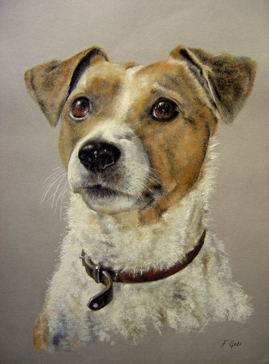 a painting of a brown and white dog with a black collar looking at the camera