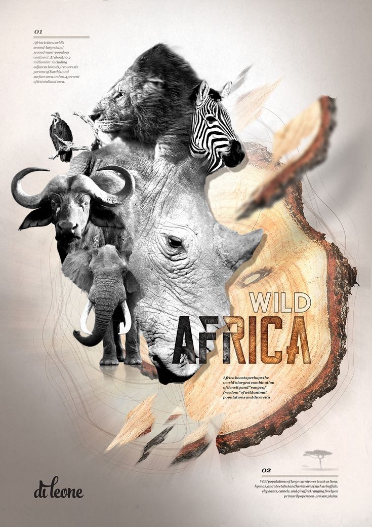 an animal collage with the words wild africa