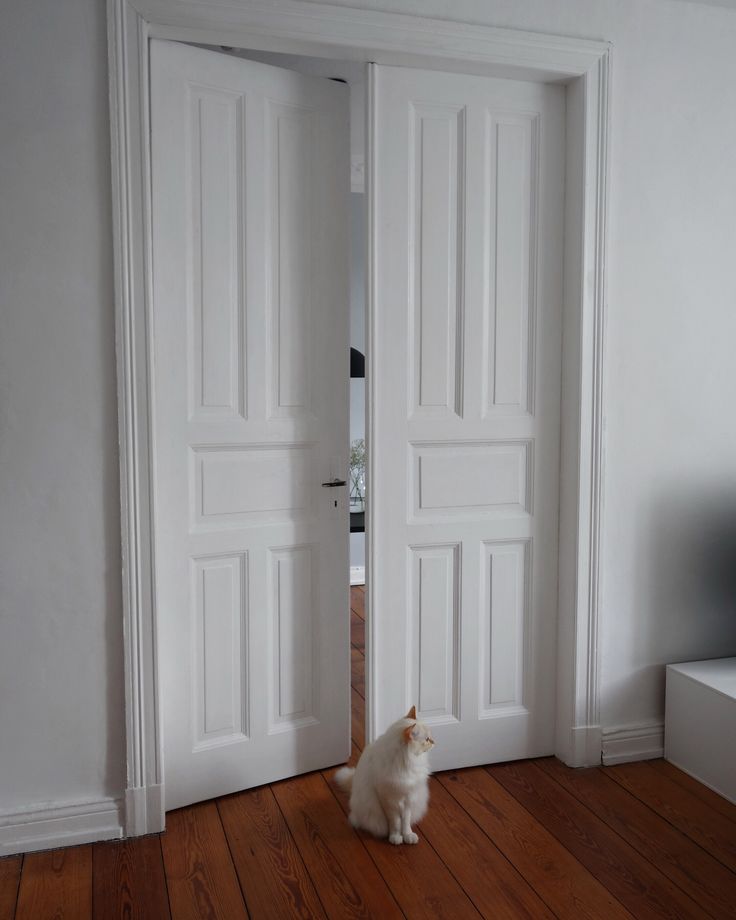 a white cat sitting in front of two doors on a wooden floor next to a tv