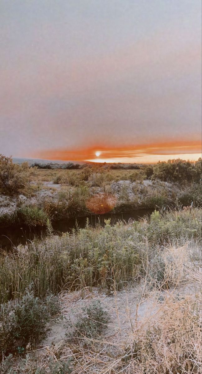 the sun is setting over an open field with tall grass and bushes on either side