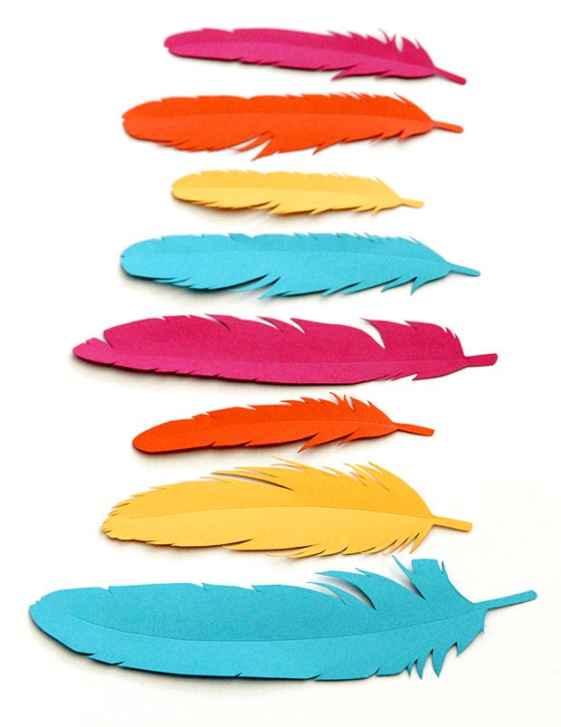 colorful feathers lined up in a row on a white surface