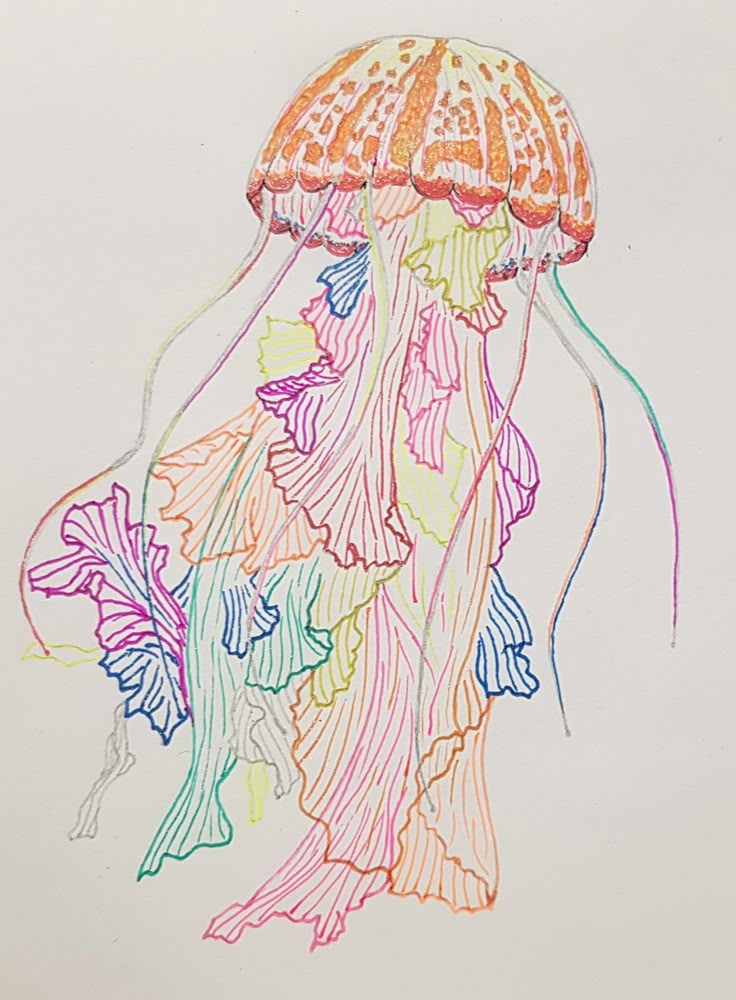 a drawing of a jellyfish with many colors on it's body and head