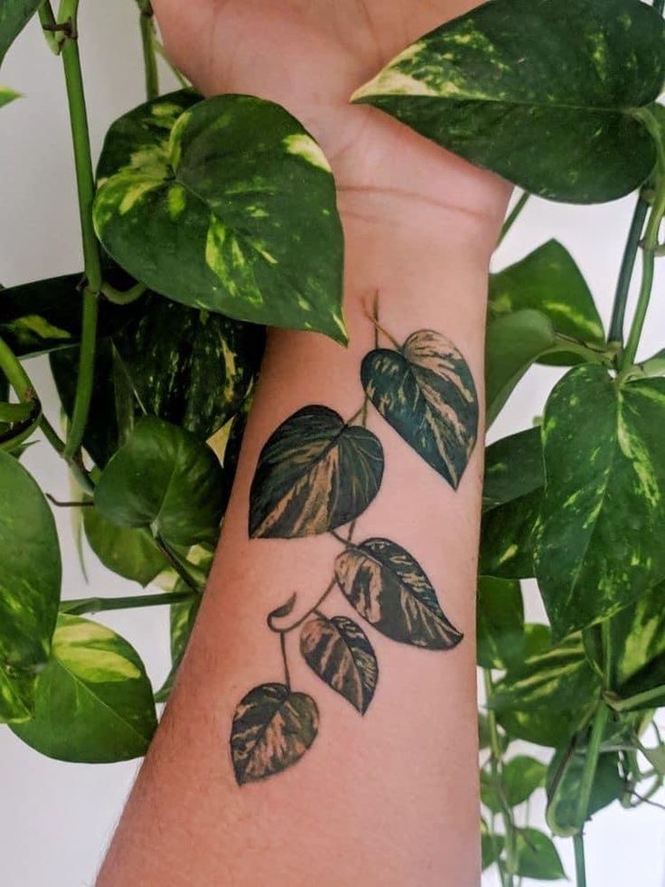 a person's arm with a plant tattoo on it