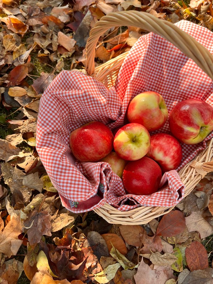 a basket filled with red apples sitting on top of leaf covered ground next to leaves