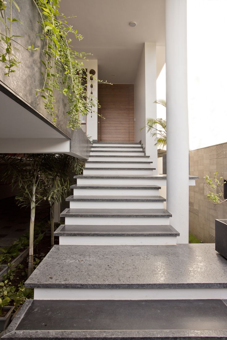 the stairs are made of concrete and have plants growing on each one side of them