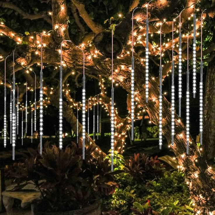 the lights are hanging from the tree in the garden at night time, and it looks like they have been decorated with string lights