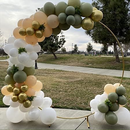 an arch made out of balloons and greenery on the side of a sidewalk in front of a park