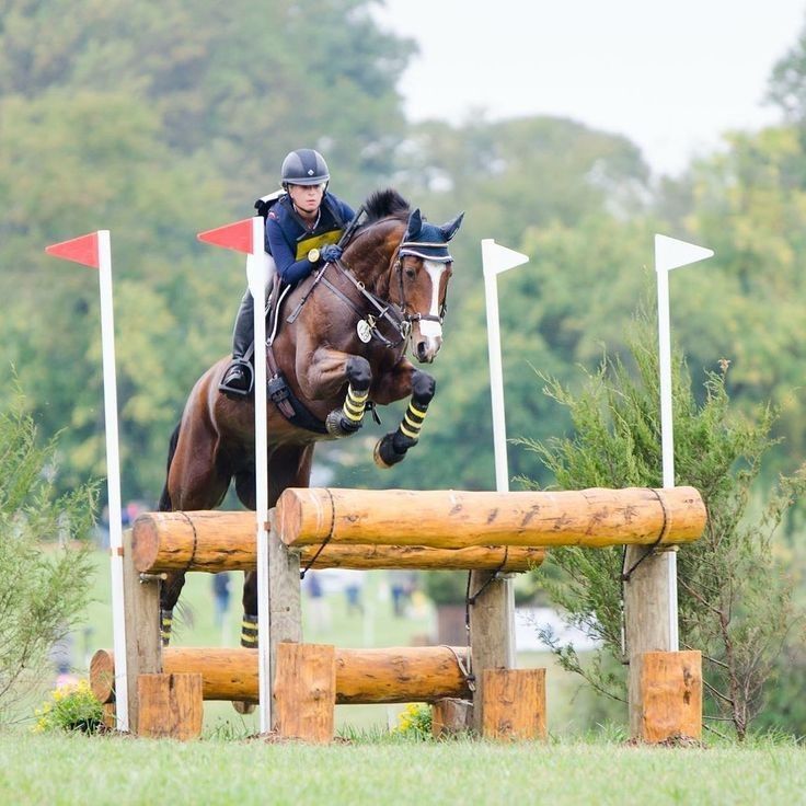 a person on a horse jumping over an obstacle