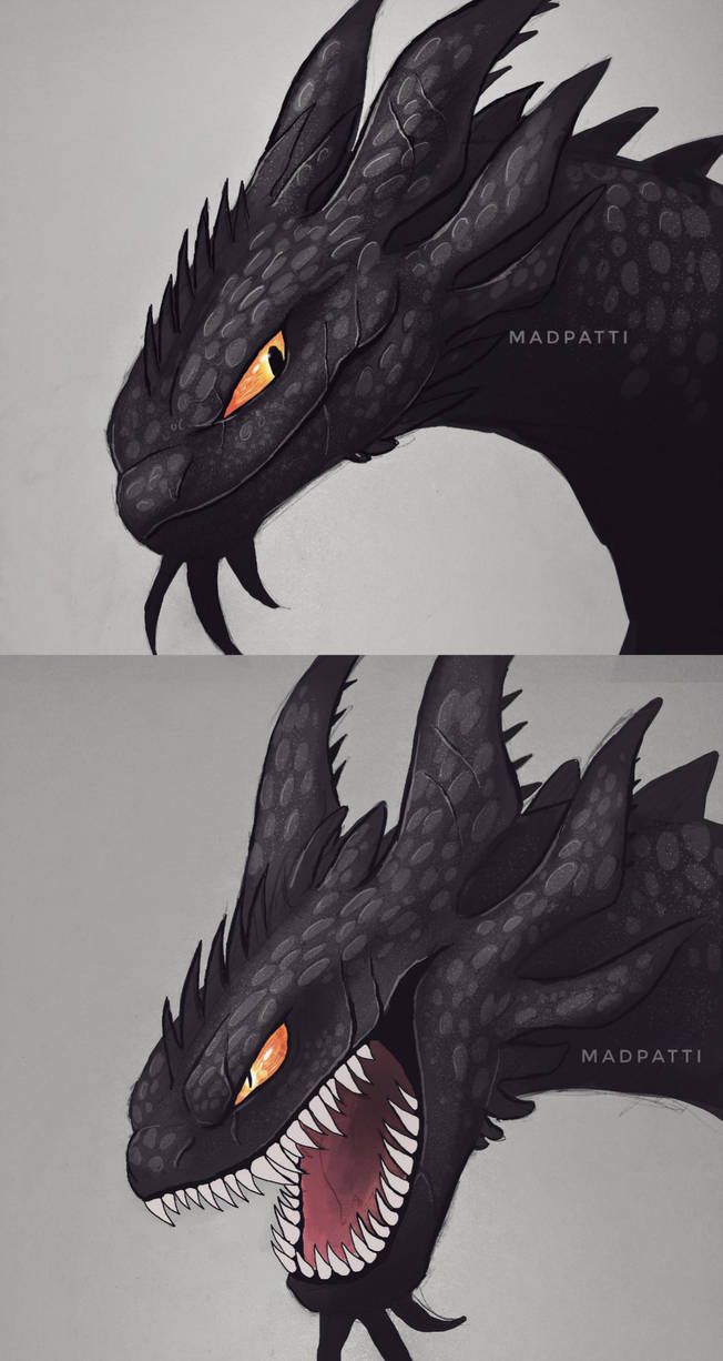 two different views of a dragon with orange eyes