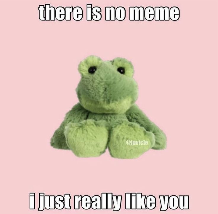 there is no meme i just really like you