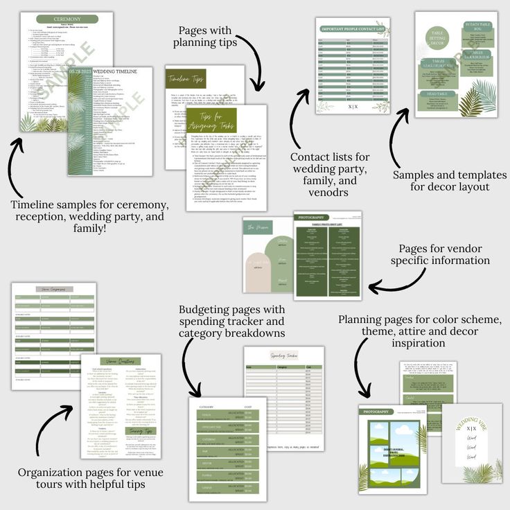 the process of creating a brochure with green and white colors, including text