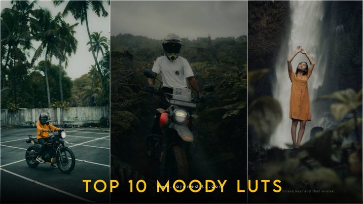 the top 10 moody luts for your photoshopped life in color and texture