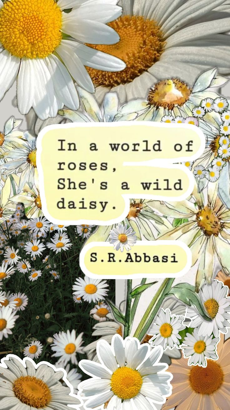 an image of daisies and flowers with the words in a world of roses, she's a wild daisy