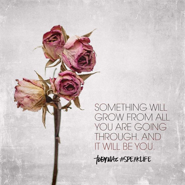 a pink flower with a quote on it that says, something will grow from all you are going through and it will be you