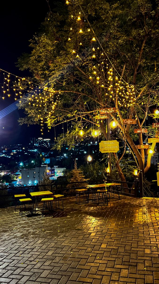 a tree with lights hanging from it's branches