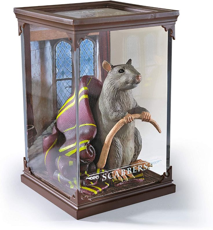 a stuffed animal in a glass case on top of a white surface with a window behind it