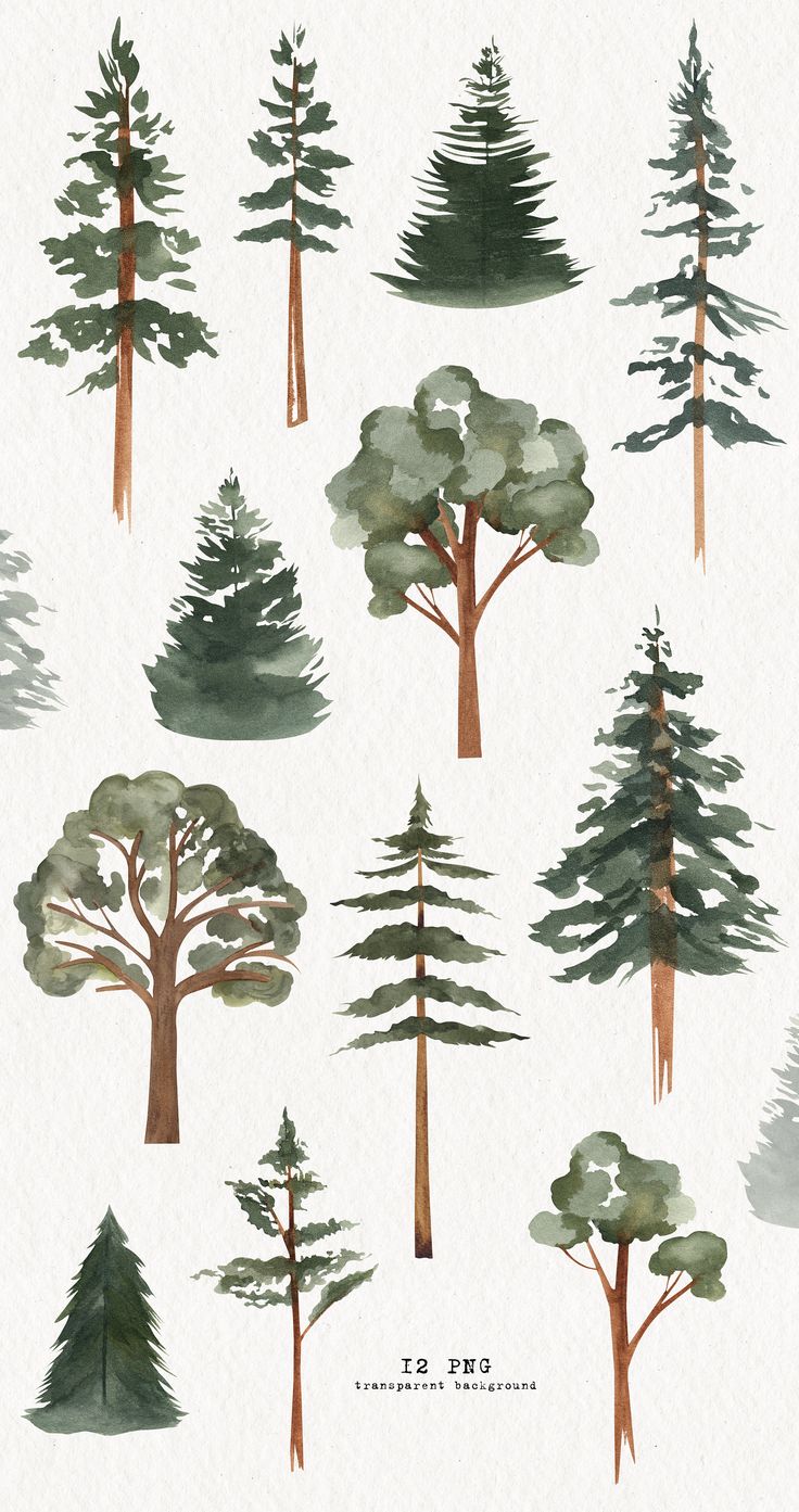 watercolor trees on white paper with green leaves