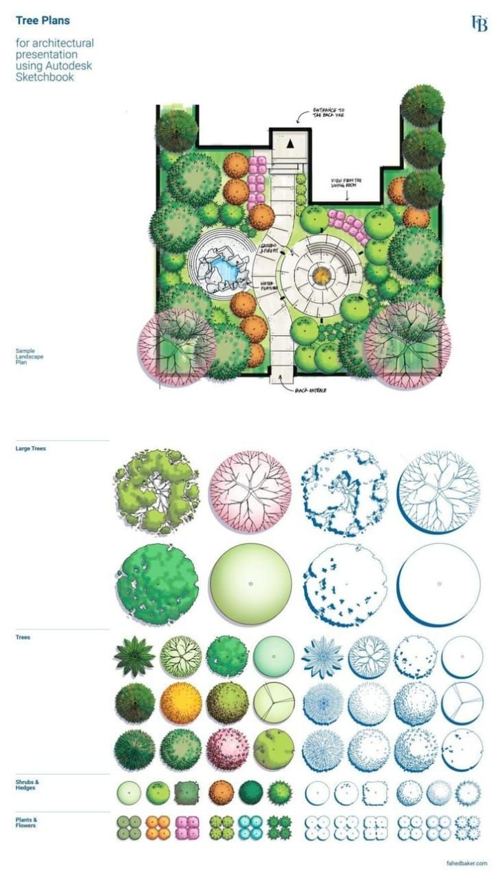 a garden plan with various trees and shrubs