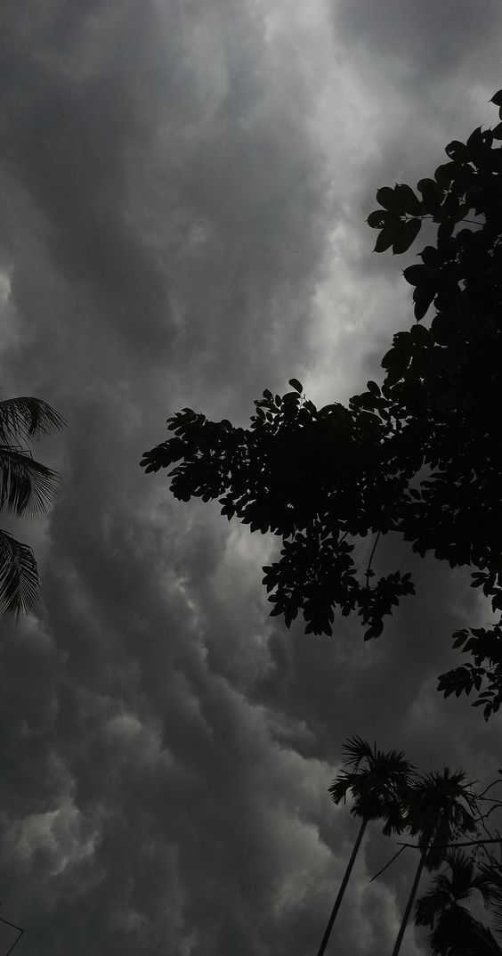 the sky is filled with dark clouds and palm trees