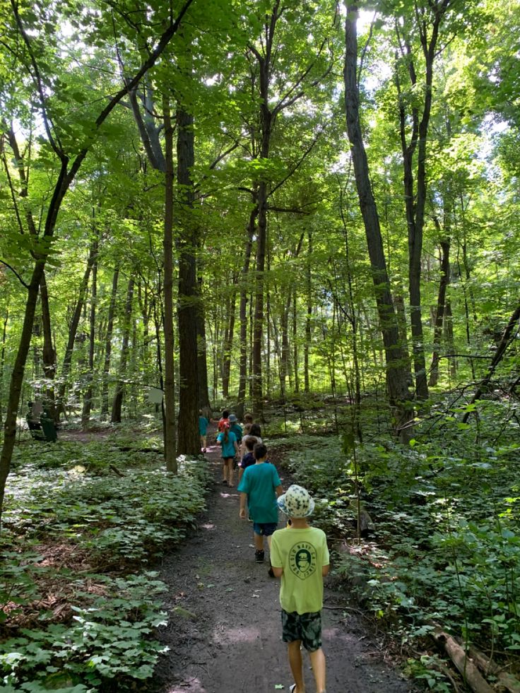 several people are walking down a path in the woods