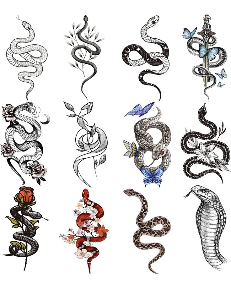 several different types of snakes and flowers on a white background with the words snake written in black