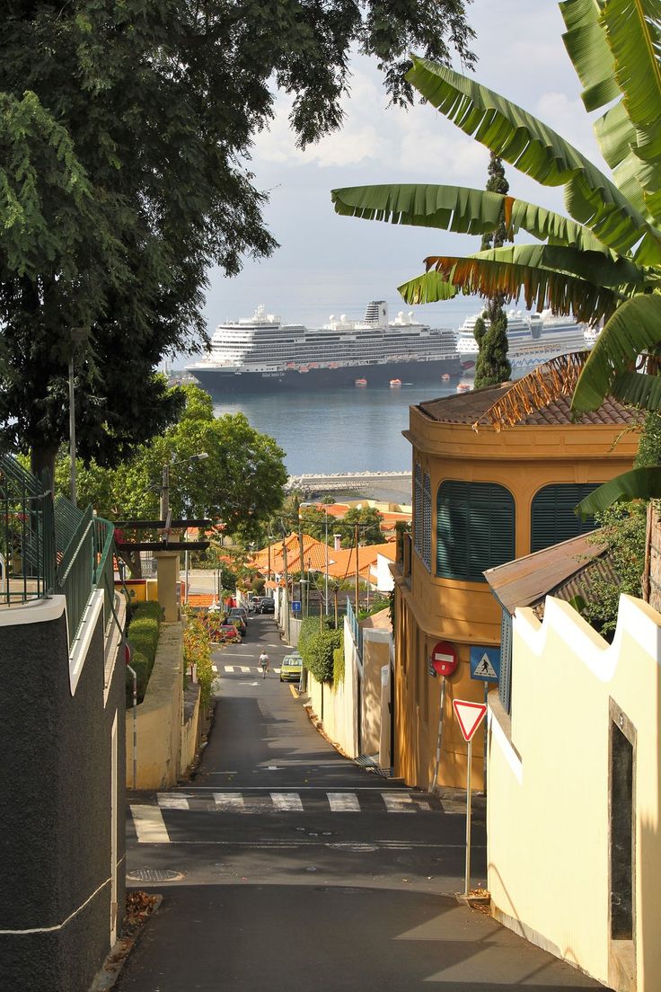 a narrow street leading to a cruise ship in the distance with trees on both sides